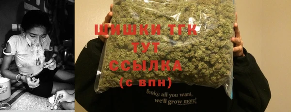 шишки Аркадак