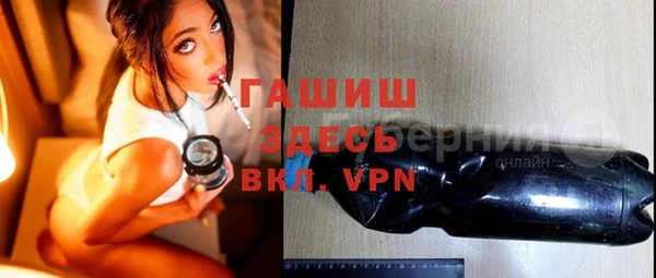 шишки Аркадак