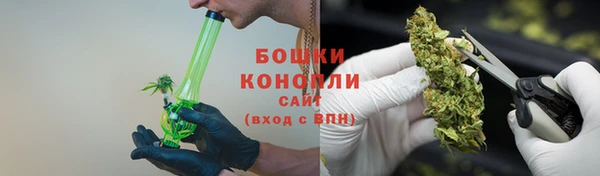 шишки Аркадак