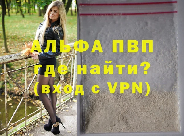 шишки Арсеньев