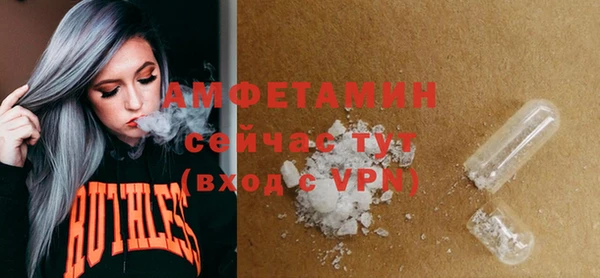 шишки Арсеньев