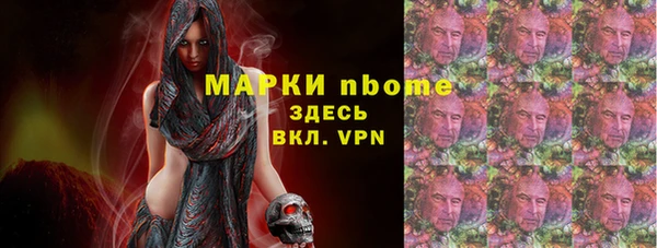 шишки Аркадак