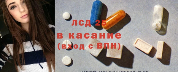 шишки Арсеньев