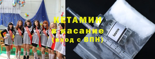 шишки Аркадак