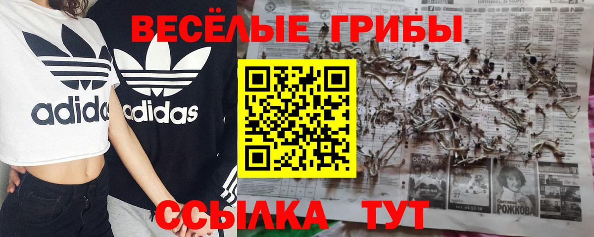 Галлюциногенные грибы мицелий  Вход с VPN  Новомосковск 